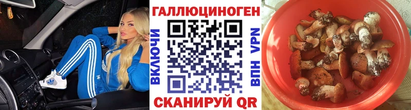 KRAKEN маркетплейс  shop телеграм  Псилоцибиновые грибы GOLDEN TEACHER  Моршанск 